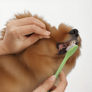 Sikat Gigi Anjing & Kucing Dual Headed <span class=keywords><strong>Dental</strong></span> Hygiene Sikat Gigi Lembut untuk Pembersihan Gigi Hewan Peliharaan Tersedia - Product Image 6