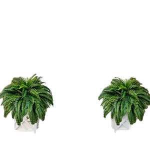 Feto di Boston Artificiale per Ufficio, Patio, Soggiorno, Portico, Finestra, Decorazione Rustica - Pianta Finta in Plastica - Product Image 5