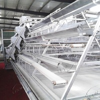Cage à oiseaux de type A en maille d'acier galvanisé à chaud, grande ou moyenne, blanche, à prix réduit