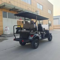 Voiturette de golf électrique 6 places, buggy de golf de haute qualité, moteur et batterie personnalisés
