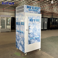 Congélateur commercial à porte pleine pour glaçons, avec stockage de glace en sacs, pour la conservation de la glace et la vente en profondeur
