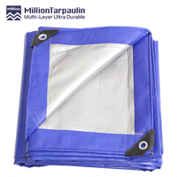Bâche Légère en Polyéthylène Argenté Bleu pour Abri de Voiture Extérieur, Tissée, Laminée, Anti-UV, Imperméable, à Usage d'Ombrage