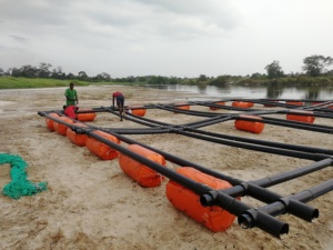 8M X 8M Nuôi Trồng Thủy Sản Vuông Nuôi Cá Lồng Nổi Cho Cá Rô Phi - Product Image 4