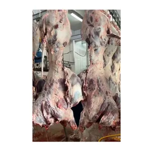 Halal Beef Mutton Abattoir Slaughter Line Equipment Of Cow Slaughter Machine