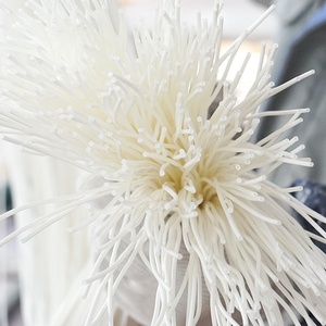 เมมเบรนกรองสเตนเลสแบบปรับได้98% CH4มีเทนเมมเบรนสำหรับสถานีเศษอาหาร - Product Image 2