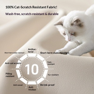Sofa <strong>Bed</strong> <strong>Folding</strong> Multi-function Pull-out Telescopic Cat Scratch Skin Upholstery High-density Sponge Filling Small Apartment - Product Image 5