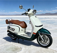 Vélo Électrique Rétro Sportif à Cadre Bas, Moteur Brushless 60V, Vélo Électrique Urbain pour Adultes en Stock