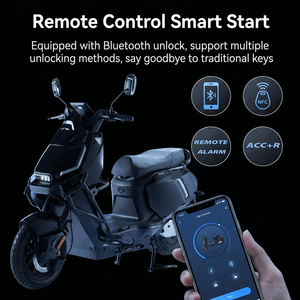 Moto électrique PACIFIC 800W 60V 24AH avec batterie au lithium, pneus 3.0-12, moteur sans balais, pour adulte, fabricant OEM - Product Image 5