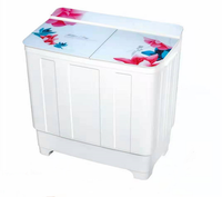 Machines à laver deux cuves 13kg pour la maison LOGO personnalisé
