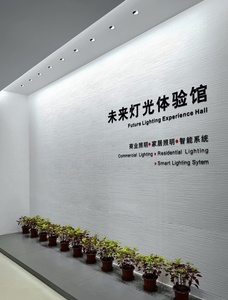 9W 12W 15W Arandela de pared Downlight Montaje empotrado Luminaria de pastoreo de pared Regulable Luz de punto modular opcional - Product Image 6