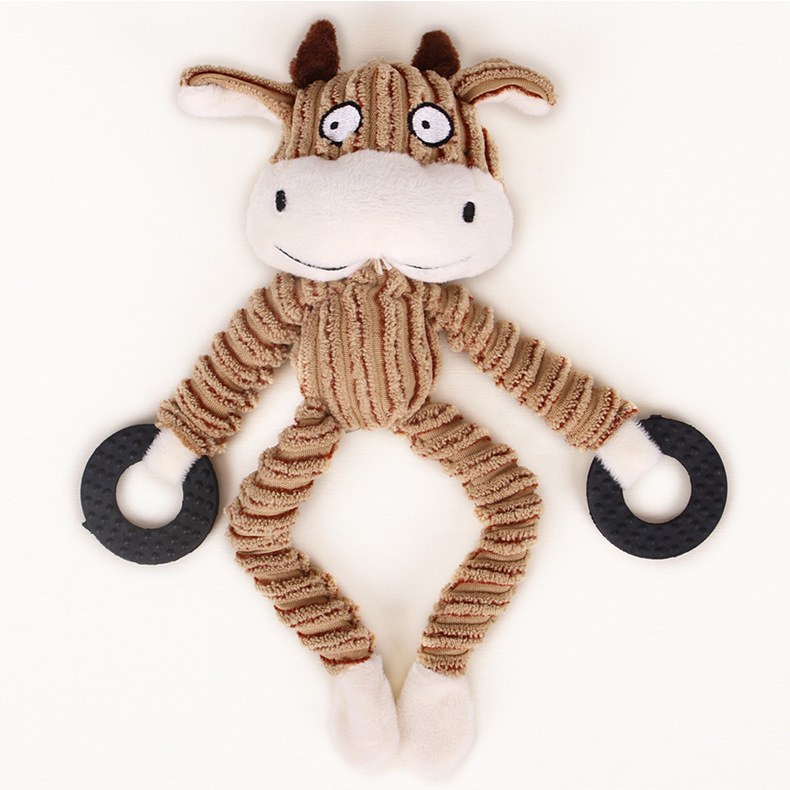 mucca