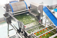 Geautomatiseerde lijn voor de verwerking van verse gesneden salade, was- en ontwateringsmachine voor bladgroenten voor commerciële verwerkingsbedrijven
