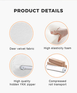 Set di Divani Modulari Moderni a 3 Posti, Letto Singolo, Divano Compresso per Soggiorno, Imballaggio Sottovuoto, Arredamento per Appartamenti, Magazzini e Centri Commerciali - Product Image 5