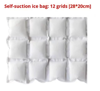 Thermafreze réutilisable Hot Cold Pack Refroidisseurs plats flexibles pour boîtes à lunch Idéal pour le dos
