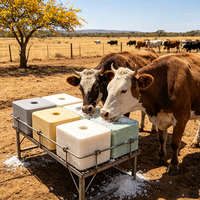 Bloc de sel minéral de qualité supérieure pour l'alimentation animale, sel à lécher pour le bétail, pour la santé des vaches laitières, des moutons et des chèvres