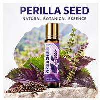 Huile de feuille de perilla en gros, 10 ml, huile essentielle en roll-on pour massage cutané, marque privée OEM