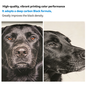 <span class=keywords><strong>Inchiostro</strong></span> INK-TANK da 1000ml 1L di Alta Gamma Compatibile Premium <span class=keywords><strong>per</strong></span> Ricarica a Getto d'<span class=keywords><strong>Inchiostro</strong></span>, <span class=keywords><strong>Inchiostro</strong></span> Sfuso a Pigmenti e Coloranti <span class=keywords><strong>per</strong></span> <span class=keywords><strong>Stampanti</strong></span> <span class=keywords><strong>Epson</strong></span> WF C5290 C5390 C5790 C5890 - Product Image 2