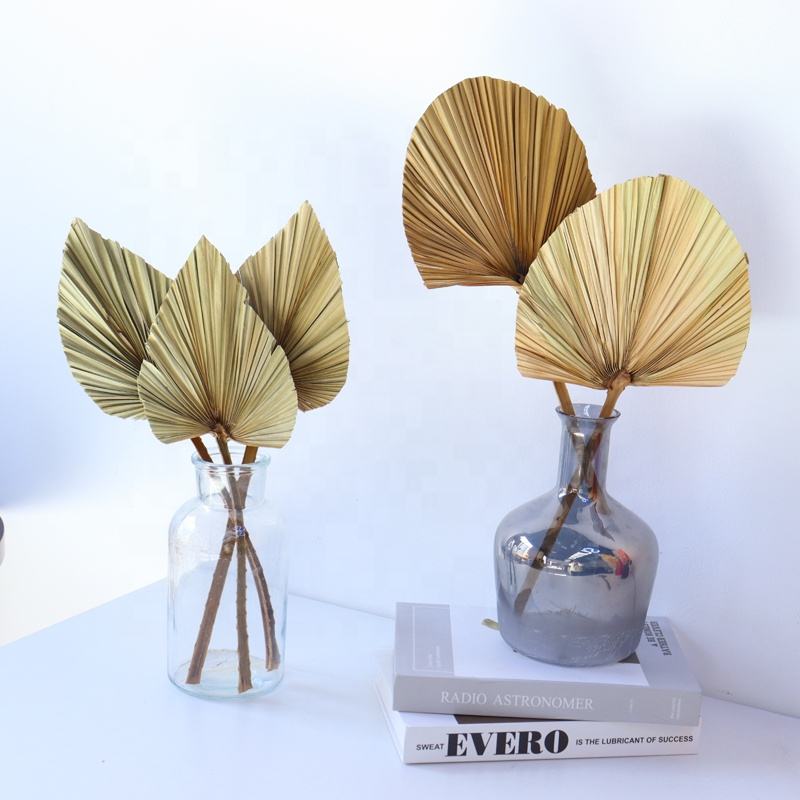 ธรรมชาติ