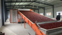 Séchoir à pompe à chaleur multi-niveaux à bande transporteuse en maille, économe en énergie, pour sécher les jujubes, les herbes, les piments, les tranches de bananes et les oignons