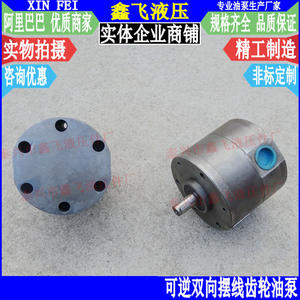 Bomba de Tornillo Lubricante Cicloidal Reversible 2KF-20 2KF-25 2KF-32, Bomba Reductora Bidireccional TX TXSX FS - Product Image 1