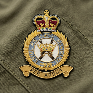 RAF REGT High Quality Lace Embroidered Patch <b>Sew</b>-On Fabric Badge Circular Luxury Design for Garment - Product Image 1