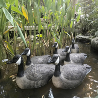 Décoy de canard noir et blanc recyclable, flottant, étanche, en mousse EVA, pour étang, lac, décoration extérieure, statue, accessoire de chasse
