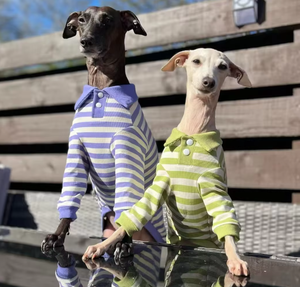 Maglietta Polo a Righe in Cotone per Shiba Inu, Greyhound, Whippet, Border Collie, Autunno Inverno, <span class=keywords><strong>Cani</strong></span> di Piccola e Media Taglia - Product Image 4