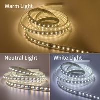 Bande LED flexible pour extérieur, étanche IP65, haute tension AC 220V 110V, SMD 5730 2835, 3 couleurs CCT commutables, gradation possible