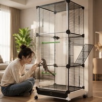 Cages transparentes en acier inoxydable pour petits animaux, avec vue frontale cristalline et transparence HD, pour Petaurs, Écureuils, Rats de compagnie et Roues