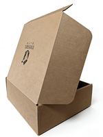 Emballages écologiques biodégradables pour petits bijoux électroniques et cosmétiques, boîtes en carton kraft en forme d'avion, boîtes en soie