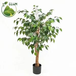 Различные виды растений и комнатные деревья фикус бонсай искусственный баньян дерево бонсай