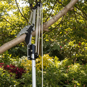 Forbici Manuali <span class=keywords><strong>di</strong></span> Alta Qualità per <span class=keywords><strong>Potatura</strong></span> <span class=keywords><strong>di</strong></span> Alberi <span class=keywords><strong>di</strong></span> <span class=keywords><strong>Melo</strong></span> e Rami <span class=keywords><strong>di</strong></span> Vite, Altri Tipi <span class=keywords><strong>di</strong></span> <span class=keywords><strong>Potatura</strong></span> <span class=keywords><strong>di</strong></span> Rami Alti, Cesoie Manuali - Product Image 2