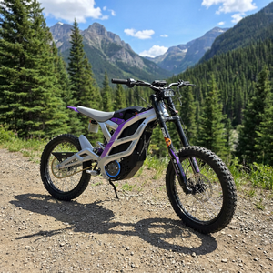 79bike PRO off Road Dirt Bike Motorcycle Road Discount - Product Image 1