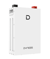Batterie solaire murale Dyness DL5.0F 8000 cycles 5 kWh 51,2 V 100 Ah LiFePO4 pour stockage d'énergie domestique, compatible avec les onduleurs Deye/Solis