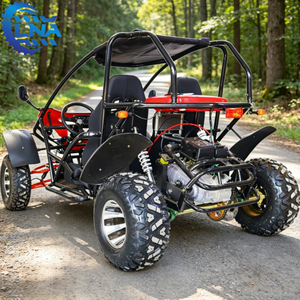 Repuestos LNA Disponibles, Venta <span class=keywords><strong>de</strong></span> Go Karts Usados Baratos <span class=keywords><strong>de</strong></span> 200cc, Divertidos y Emocionantes, Alquiler para Safari - Product Image 1