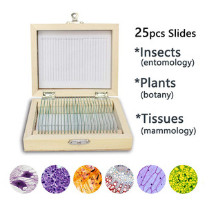 สไลด์สำเร็จรูปสำหรับกล้องจุลทรรศน์ วิทยาศาสตร์สัตว์ อนุภาคชีววัตถุ  วัสดุพลาสติกและแก้ว สำหรับโรงเรียน  ขายส่งจากโรงงาน สำหรับการสอนวิทยาศาสตร์การแพทย์ - Product Image 2