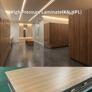 Tablero Laminado Compacto Premium <span class=keywords><strong>Fundermax</strong></span> - Resistente al Agua/Alfombra de Fuego, Diseño Moderno para Casilleros Comerciales y Cubículos de Baño - Product Image 1