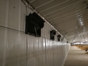 2025 New popularity Hot bán sản phẩm kết cấu thép nhà Gà Gia cầm trang trại đổ xây dựng - Product Image 5