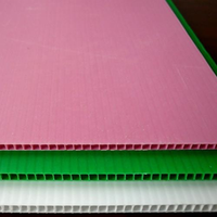 Lámina de Plástico PP de 2mm/3mm/4mm/5mm/6mm/8mm/10mm con Servicio de Corte para Uso en Construcción