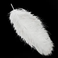 White Ostrich Plumes Feathers for Wedding Centerpieces