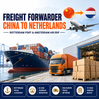 Transitaire DDP FBA de Chine vers les Pays-Bas pour le fret maritime de marchandises commerciales, le dédouanement et l'expédition porte-à-porte
