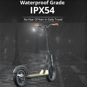 中国销售60千米范围30Mph 800W越野折叠式滑车越野胖轮胎车轮1000W成人电动滑板车 - Product Image 6