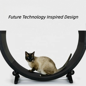 Cinta de Correr para Gatos USMILEPET, Equipo de Ejercicio Silencioso para Gatos, de PVC, Gran Venta - Product Image 2