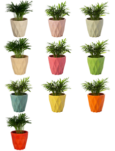 <span class=keywords><strong>Maceta</strong></span> Cilíndrica <span class=keywords><strong>de</strong></span> Color Simple para Suculentas y Cactus, Decoración para Hogar, Jardín y Patio - Product Image 2