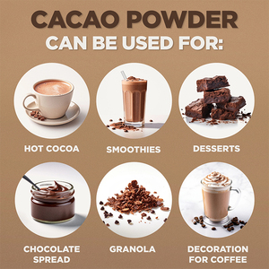 Polifenol de cacao rico en Polvo puro CACAO OEM para la salud cardiovascular y cerebrovascular - Product Image 3