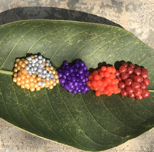 ฉลากส่วนตัวคาเวียร์สาระสำคัญ1กิโลกรัมกลุ่มต่อต้านริ้วรอยคอลลาเจน Roe ต่อต้านริ้วรอยคาเวียร์เซรั่ม - Product Image 5