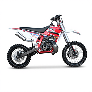 Moto pour enfants de <span class=keywords><strong>grande</strong></span> <span class=keywords><strong>taille</strong></span>, meilleure qualité, 2 temps, 49CC, 50CC, puissante moto tout-terrain à essence - Product Image 4