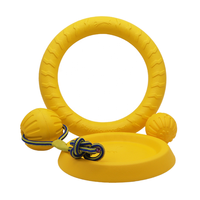 Nouvelle conception de jouets interactifs EVA chien corde balle