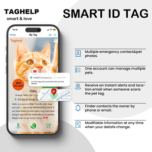 Fast Delivery QR Code <b>Dog</b> <b>Tag</b> Newborn Puppy Kitten ID <b>Tag</b> Anti Loss <b>Dog</b> Collar Pet Anti-lost Information <b>Tag</b> - Product Image 6