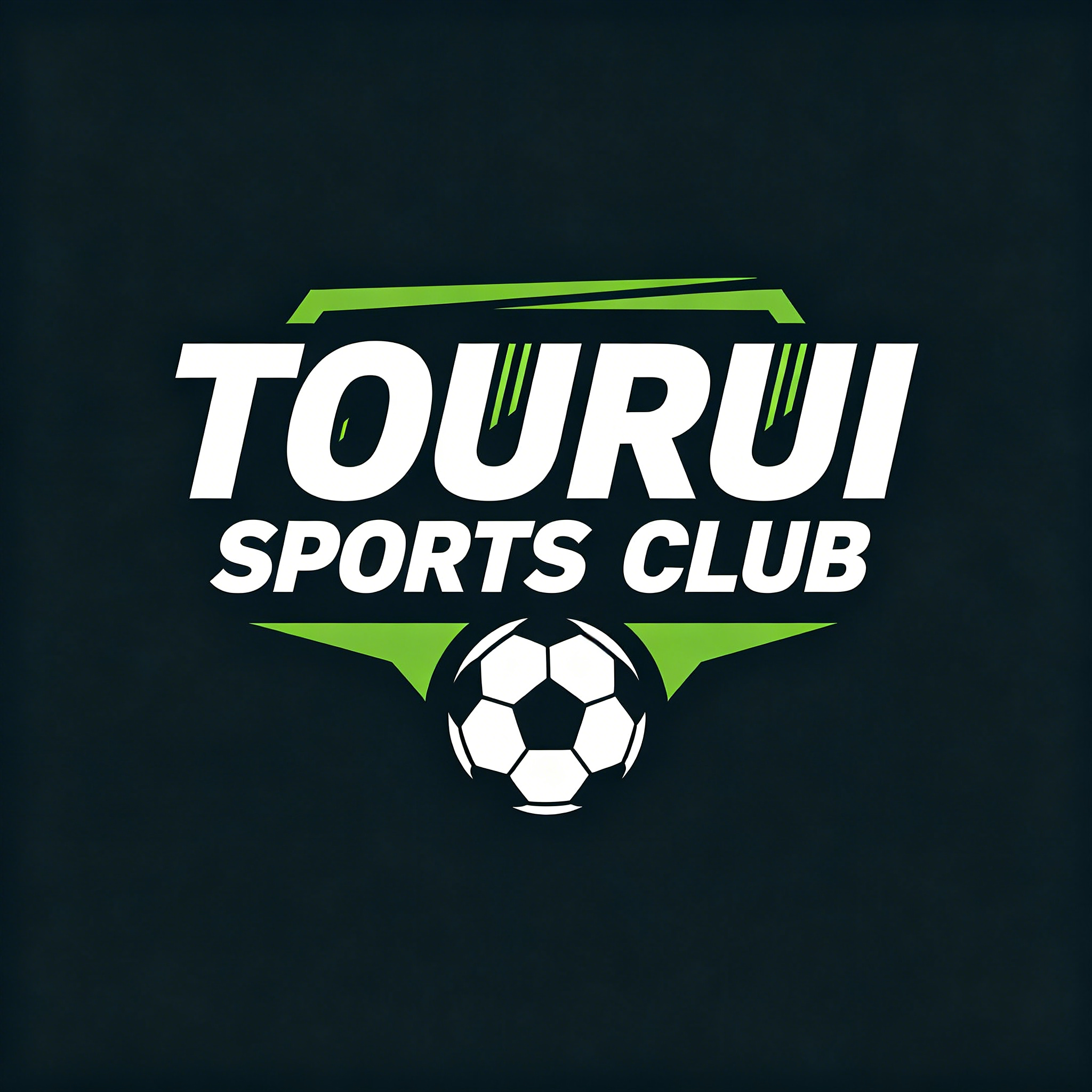 Nanning High-Tech Zone Touareg Sports Club (sole Proprietorship) logo